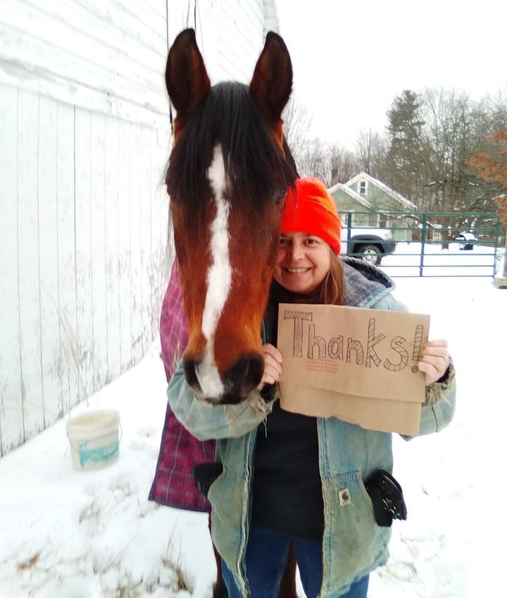 Veterinarians in Middletown Middletown NY Veterinarians